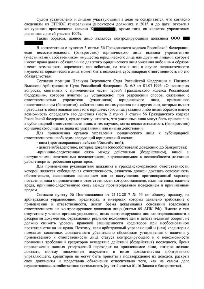 Директор успешно защищен от субсидиарной ответственности